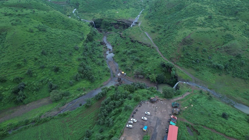 naidunia_image